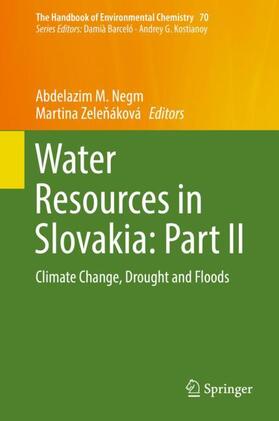 Zelenáková / Negm / Zelenáková |  Water Resources in Slovakia: Part II | Buch |  Sack Fachmedien