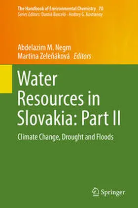 Negm / Zelenáková / Zelenáková | Water Resources in Slovakia: Part II | E-Book | sack.de