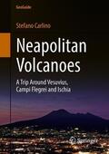 Carlino |  Neapolitan Volcanoes | Buch |  Sack Fachmedien