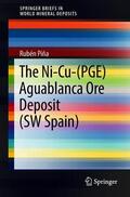 Piña |  The Ni-Cu-(PGE) Aguablanca Ore Deposit (SW Spain) | Buch |  Sack Fachmedien