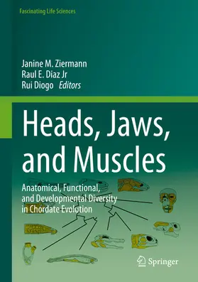 Ziermann / Diaz Jr / Diogo |  Heads, Jaws, and Muscles | eBook | Sack Fachmedien