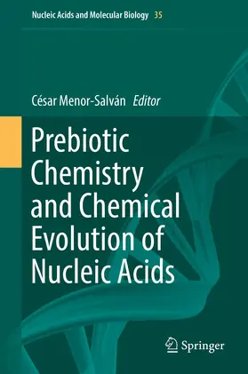 Menor-Salván |  Prebiotic Chemistry and Chemical Evolution of Nucleic Acids | Buch |  Sack Fachmedien
