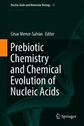 Menor-Salván |  Prebiotic Chemistry and Chemical Evolution of Nucleic Acids | Buch |  Sack Fachmedien