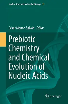 Menor-Salván |  Prebiotic Chemistry and Chemical Evolution of Nucleic Acids | eBook | Sack Fachmedien