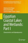 Negm / Abdel-Fattah / Bek |  Egyptian Coastal Lakes and Wetlands: Part I | Buch |  Sack Fachmedien