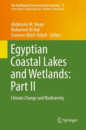 Negm / Abdel-Fattah / Bek |  Egyptian Coastal Lakes and Wetlands: Part II | Buch |  Sack Fachmedien