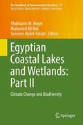 Negm / Abdel-Fattah / Bek |  Egyptian Coastal Lakes and Wetlands: Part II | Buch |  Sack Fachmedien