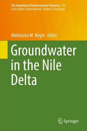 Negm |  Groundwater in the Nile Delta | Buch |  Sack Fachmedien