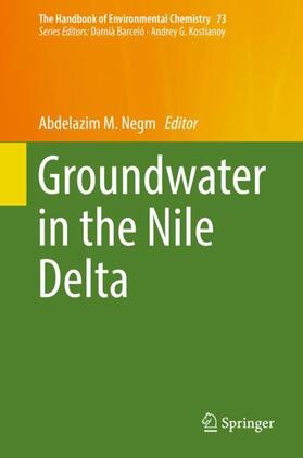 Negm | Groundwater in the Nile Delta | Buch | 978-3-319-94282-7 | sack.de
