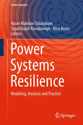 Mahdavi Tabatabaei / Najafi Ravadanegh / Bizon |  Power Systems Resilience | eBook | Sack Fachmedien