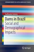 Leturcq |  Dams in Brazil | Buch |  Sack Fachmedien
