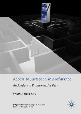 Olteanu |  Access to Justice in Microfinance | Buch |  Sack Fachmedien
