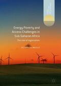 Nalule |  Energy Poverty and Access Challenges in Sub-Saharan Africa | Buch |  Sack Fachmedien