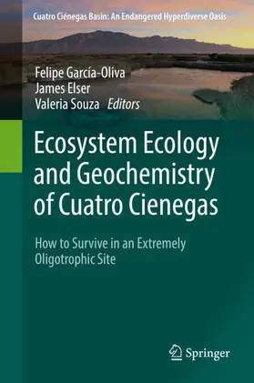 García-Oliva / Souza / Elser |  Ecosystem Ecology and Geochemistry of Cuatro Cienegas | Buch |  Sack Fachmedien