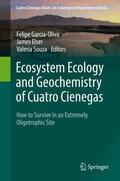 García-Oliva / Souza / Elser |  Ecosystem Ecology and Geochemistry of Cuatro Cienegas | Buch |  Sack Fachmedien