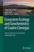 García-Oliva / Elser / Souza |  Ecosystem Ecology and Geochemistry of Cuatro Cienegas | eBook | Sack Fachmedien