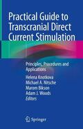 Knotkova / Woods / Nitsche |  Practical Guide to Transcranial Direct Current Stimulation | Buch |  Sack Fachmedien