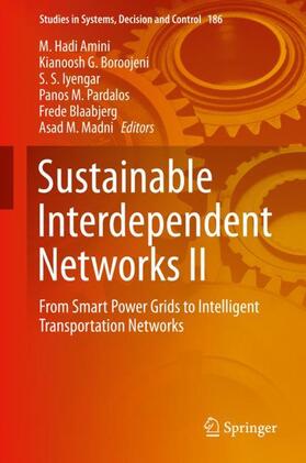 Amini / Boroojeni / Madni | Sustainable Interdependent Networks II | Buch | 978-3-319-98922-8 | sack.de