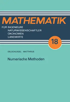 Matthäus |  Numerische Methoden | Buch |  Sack Fachmedien