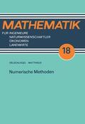 Matthäus |  Matthäus, W: Numerische Methoden | Buch |  Sack Fachmedien