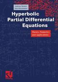 Struckmeier / Meister |  Hyperbolic Partial Differential Equations | Buch |  Sack Fachmedien