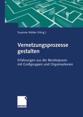 Weber | Vernetzungsprozesse gestalten | E-Book | sack.de