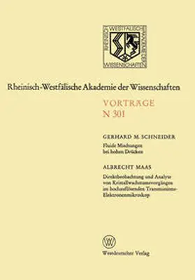 Schneider | Fluide Mischungen bei hohen Drücken. Direktbeobachtung und Analyse von Kristallwachstumsvorgängen im hochauflösenden Transmissions-Elektronenmikroskop | E-Book | sack.de