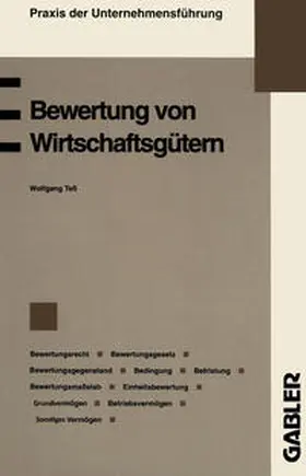 Teß |  Bewertung von Wirtschaftsgütern | eBook | Sack Fachmedien