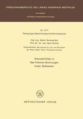 Sommerfeld |  Grenzschichten in Gas-Teilchen-Strömungen hinter Stoßwellen | eBook | Sack Fachmedien