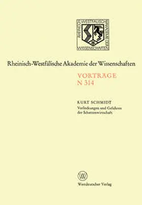 Schmidt |  Verlockungen und Gefahren der Schattenwirtschaft | eBook | Sack Fachmedien