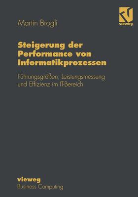  Steigerung der Performance von Informatikprozessen | Buch |  Sack Fachmedien