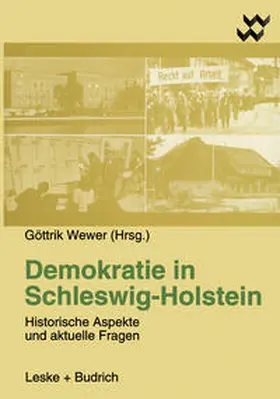 Wewer |  Demokratie in Schleswig-Holstein | eBook | Sack Fachmedien