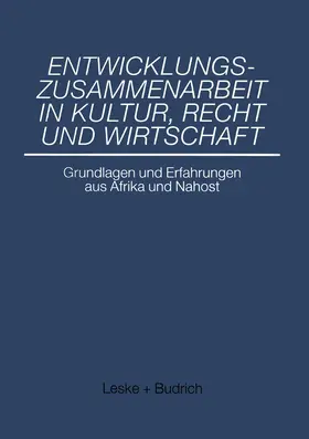 Nienhaus |  Entwicklungszusammenarbeit in Kultur, Recht und Wirtschaft | Buch |  Sack Fachmedien