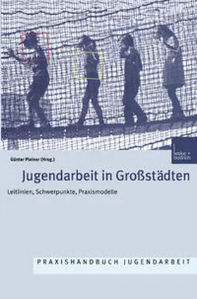 Pleiner |  Jugendarbeit in Großstädten | eBook | Sack Fachmedien
