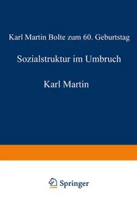 Hradil | Sozialstruktur im Umbruch | E-Book | www.sack.de
