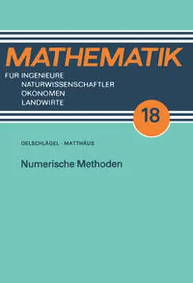 Matthäus |  Numerische Methoden | eBook | Sack Fachmedien