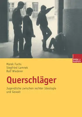 Lamnek / Fuchs / Wiederer |  Querschläger | eBook | Sack Fachmedien