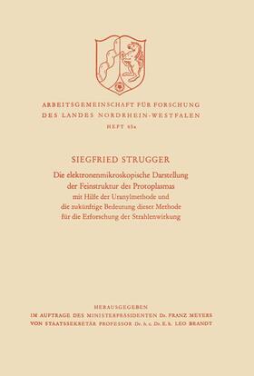 Strugger |  Strugger, S: Die elektronenmikroskopische Darstellung der Fe | Buch |  Sack Fachmedien