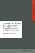 Schmidt / Lutz |  Lutz, B: Chancen und Risiken der industriellen Restrukturier | Buch |  Sack Fachmedien