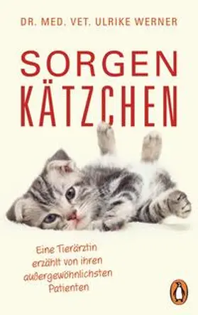 Werner |  Sorgenkätzchen | Buch |  Sack Fachmedien
