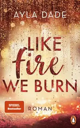Dade |  Like Fire We Burn | Buch |  Sack Fachmedien