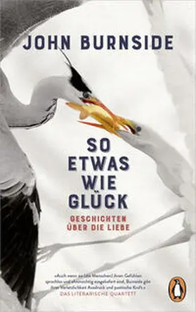 Burnside | So etwas wie Glück | Buch | 978-3-328-11236-5 | www.sack.de
