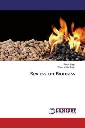 Singh |  Review on Biomass | Buch |  Sack Fachmedien