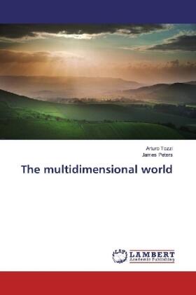 Tozzi / Peters |  The multidimensional world | Buch |  Sack Fachmedien