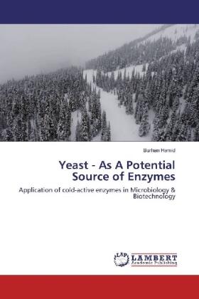 Hamid |  Yeast - As A Potential Source of Enzymes | Buch |  Sack Fachmedien