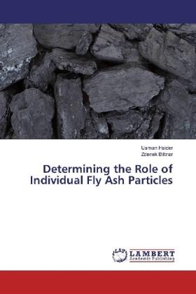 Haider / Bittnar |  Determining the Role of Individual Fly Ash Particles | Buch |  Sack Fachmedien