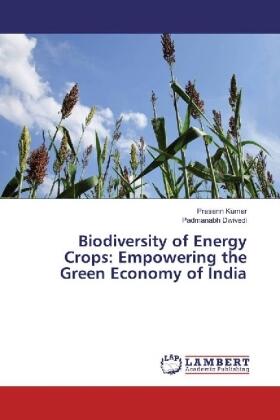 Kumar / Dwivedi |  Biodiversity of Energy Crops: Empowering the Green Economy of India | Buch |  Sack Fachmedien