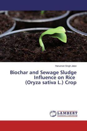 Jatav |  Biochar and Sewage Sludge Influence on Rice (Oryza sativa L.) Crop | Buch |  Sack Fachmedien