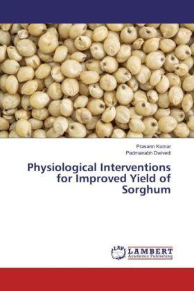 Kumar / Dwivedi |  Physiological Interventions for Improved Yield of Sorghum | Buch |  Sack Fachmedien