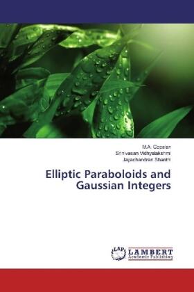 Gopalan / Vidhyalakshmi / Shanthi |  Elliptic Paraboloids and Gaussian Integers | Buch |  Sack Fachmedien
